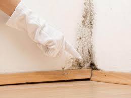 Best Crawl Space Mold Remediation in Carolina Forest, SC